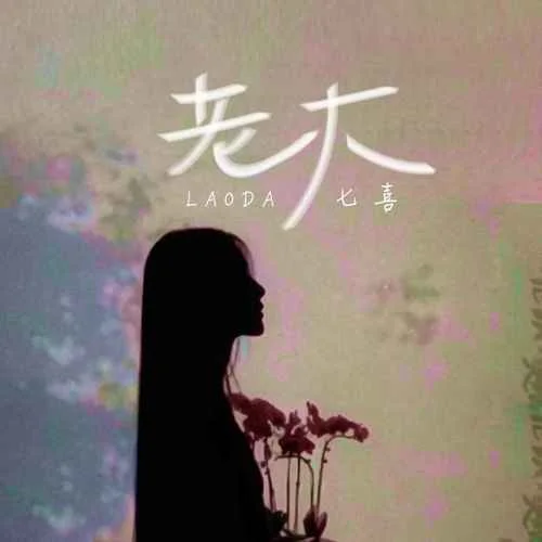 老大(DJ版)-七喜