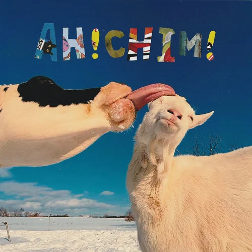 Moggoji-Goodmorning Pancake