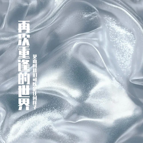 再次重逢的世界（见面时我们可以是任何样子）-李晚乔