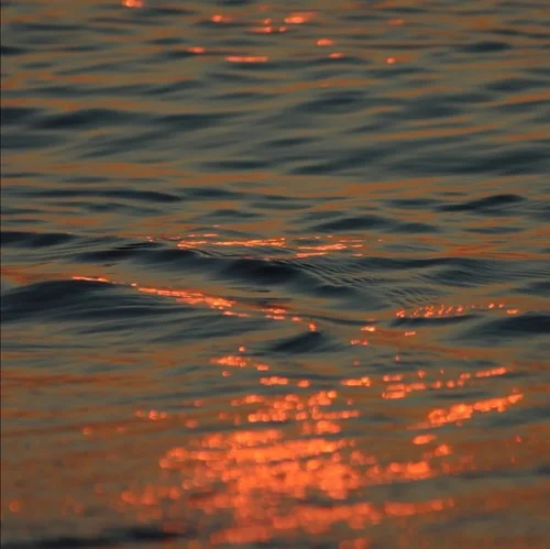 没有永恒的梅雨季-风吹雾