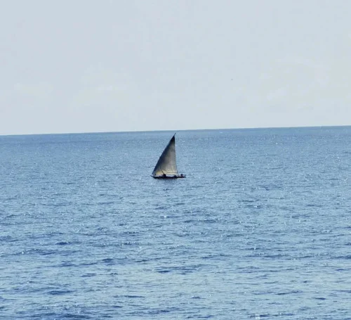 Put a Little Umph In It (純享)-HSHKGN