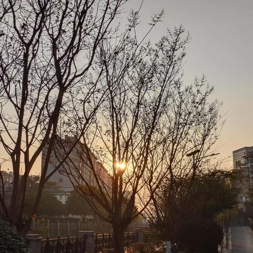 有風(fēng)有雨是常態(tài) 風(fēng)雨兼程是狀態(tài)-筱薇