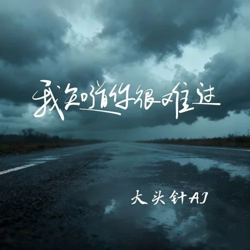 我知道你很难过 (烟嗓男版)-大头针 Official