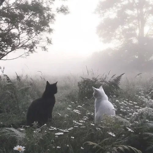 running up on hill(氛圍版)-Newweis