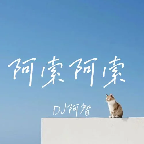 阿索阿索-DJ阿智