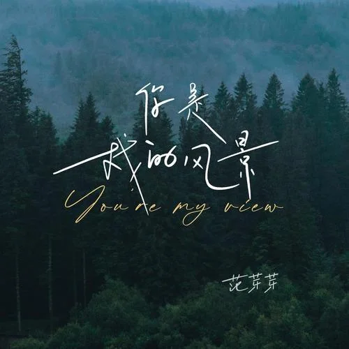 你是我的風景-范芽芽