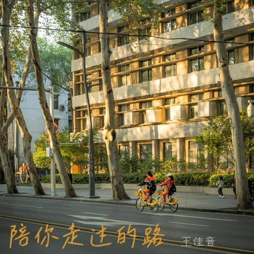 陪你走過的路-王佳音