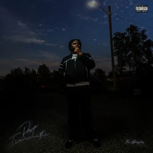 Ride or Die (feat. Tink)(Explicit)-Tee Grizzley&Tink