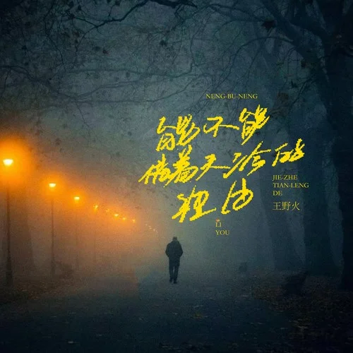 能不能借著天冷的理由-王野火