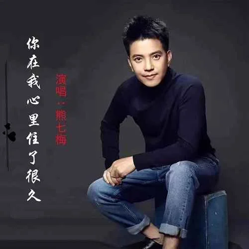 你在我心里住了很久(DJ版)-熊七梅