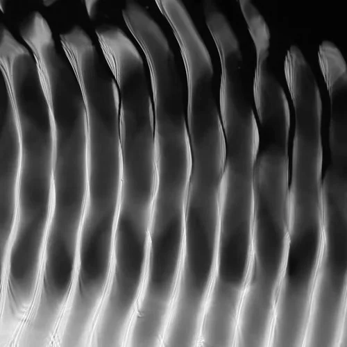 幾給幾給 (噠噠噠)-Cz_8