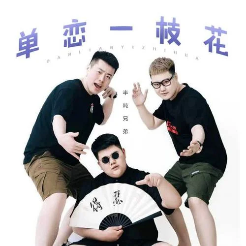 单恋一枝花-半吨兄弟
