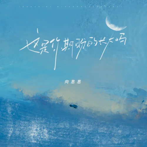 這是你期盼的長大嗎-向思思