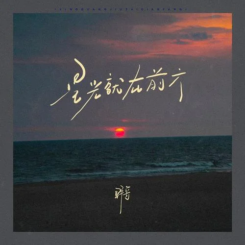 星光就在前方-野哥