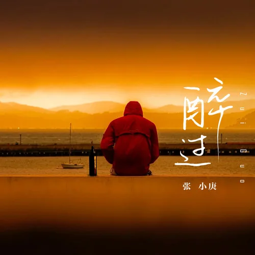 醉過(guò)-張小庚