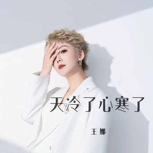 天冷了心寒了-王娜
