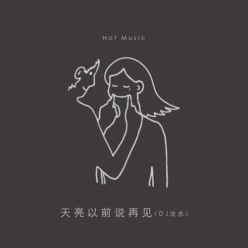 天亮以前說(shuō)再見(jiàn)(DJ沈念版)-Hot Music