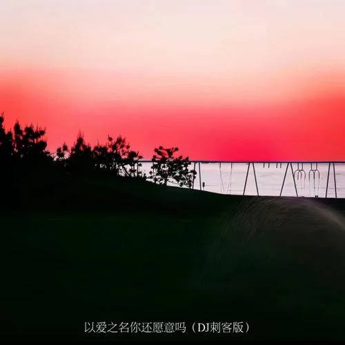 以愛之名你還愿意嗎(DJ刺客版)-DJ.SmartD