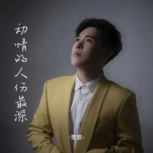 動情的人傷最深-鶯歌