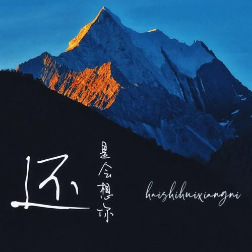 还是会想你(DJ阿智版)-DJ铁柱