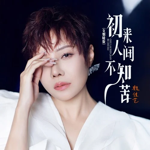初來(lái)人間不知苦(女煙嗓版)-魏佳藝