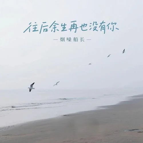 往后余生再也沒有你-煙嗓船長