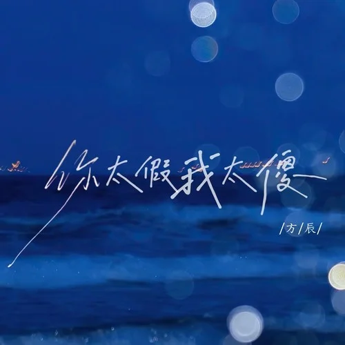 你太假我太傻-方辰