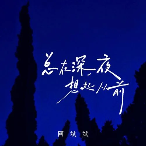 總在深夜想起從前-阿斌斌