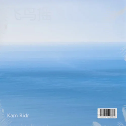 飞鸟摇 (慢摇二字)-Kam Ridr