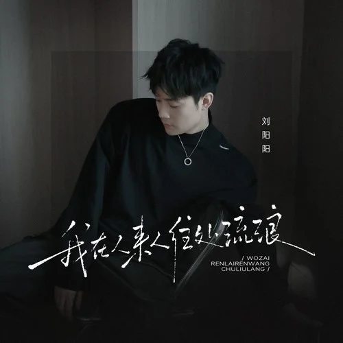 我在人来人往处流浪-刘阳阳