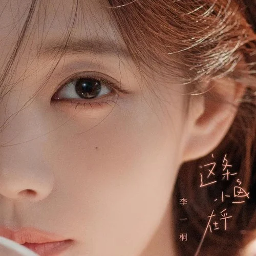 這條小魚在乎-李一桐