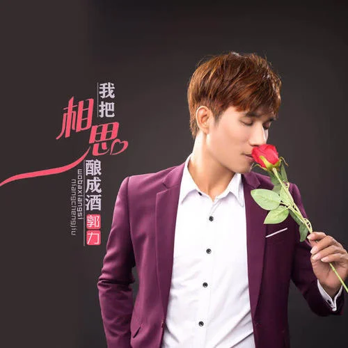 我把相思釀成酒-郭力