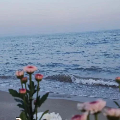 你就是我的风景-夏陆