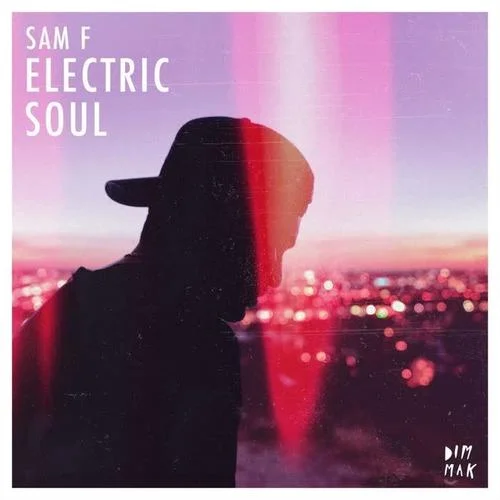 Limitless(feat. Sophie Rose)-Sam F&Sophie Rose