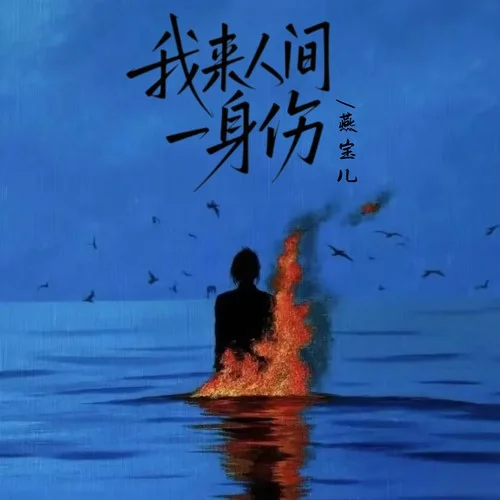 我來人間一身傷-燕寶兒