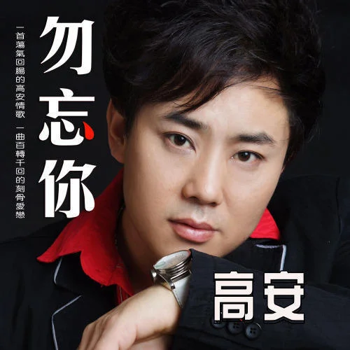 勿忘你(DJ阿默版)-高安