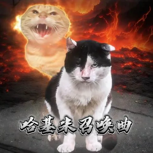 哈基米召喚曲 (懸疑哈基米)-DJ大富豪