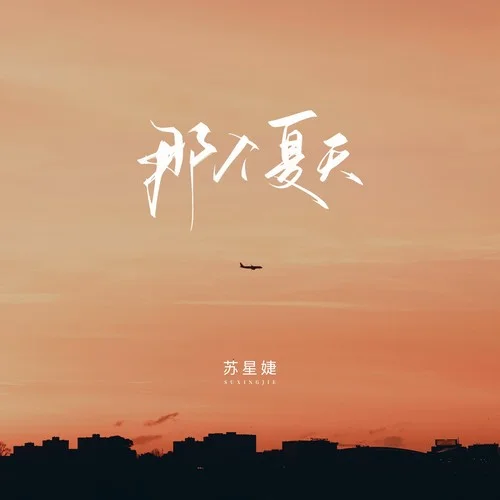 那個(gè)夏天-蘇星婕