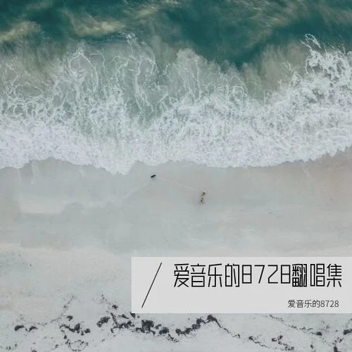 駭河街 (cover: 四熹丸子)-愛(ài)音樂(lè)的8728