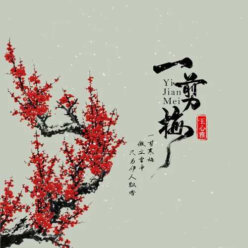 一剪梅(DJ輝總版)-王心雅