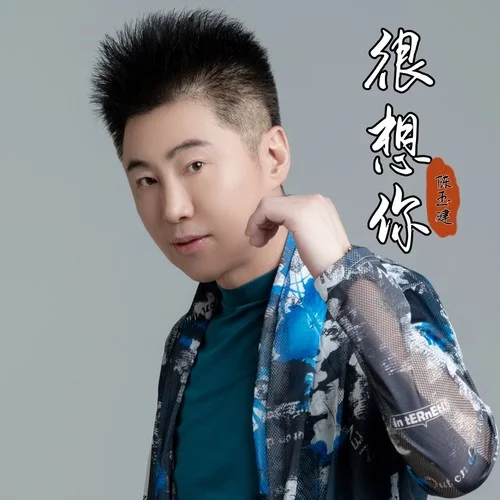 很想你（dj沈念）-陳玉建