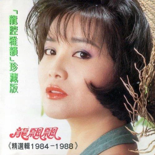 怎能再回頭-龍飄飄