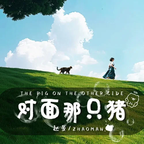 對面那只豬-趙曼