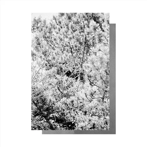 Uh-Kidgrandios&Svumato