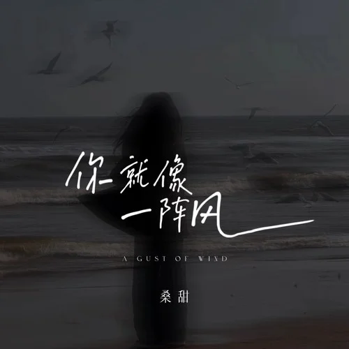 你就像一陣風(fēng)-桑甜