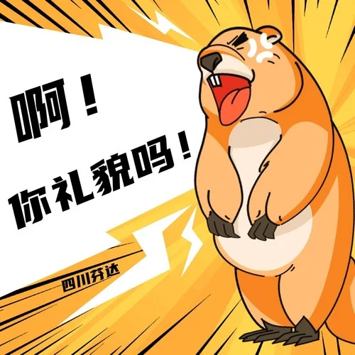 你禮貌嗎-四川芬達(dá)