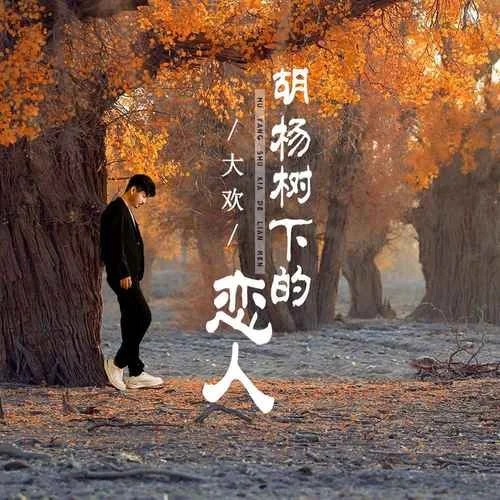 胡杨树下的恋人-大欢