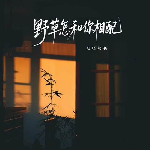野草怎和你相配-烟嗓船长
