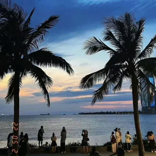 普通人生-海洋po