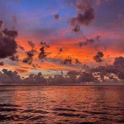 熱門槍聲卡點(diǎn)(DJ版)-DJ野馬